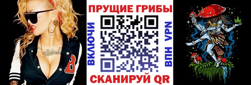Галлюциногенные грибы Psilocybine cubensis  hydra ССЫЛКА  Сухиничи 